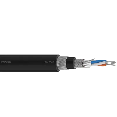 Polycab RS 485 300/500V AC Armoured Cable