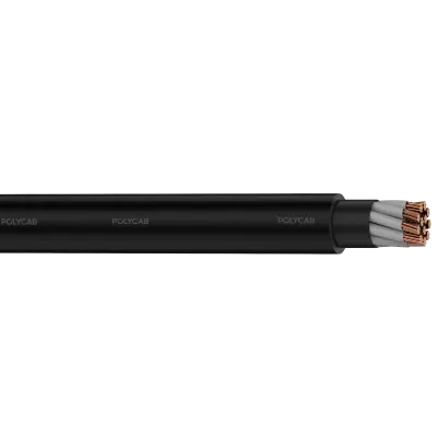 Polycab LV IS-7098-I MC 2.5 2XY