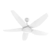 FCBLDCES069P - product image not available.