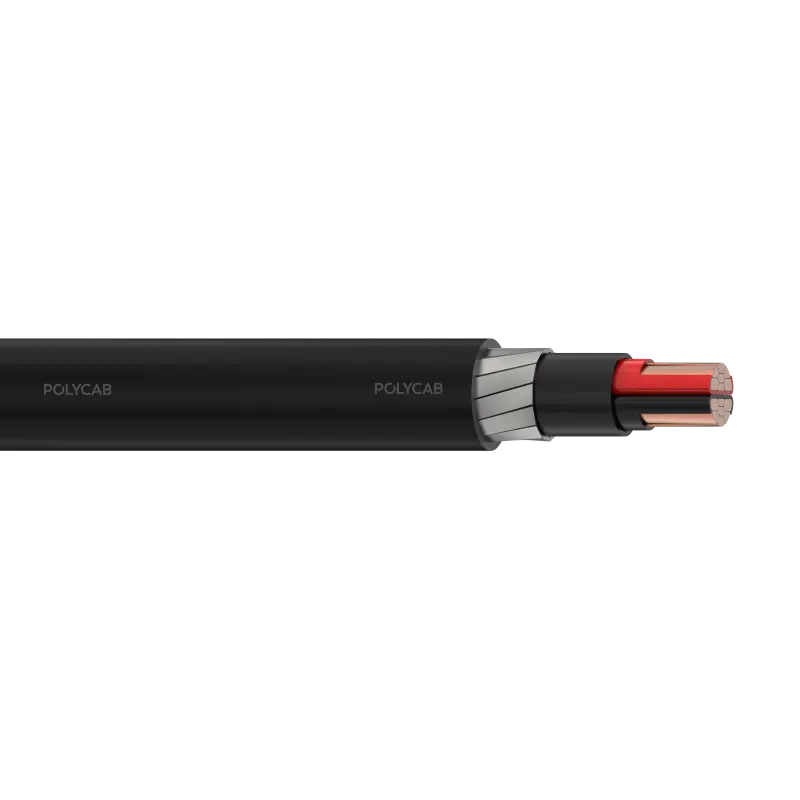 Polycab LV Cu IEC 60502-1 0.6/1kV MC-2 SFA Multi core stranded copper conductor, XLPE/EPR/HEPR insulation, Laid up, Inner covering, Armoured, PVC/Polyethylene/Halogen free Outer sheathed LV Cable - Polycab LV Cu IEC 60502-1 0.6/1kV MC-2 SFA - 55261