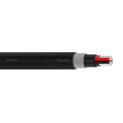 Polycab LV IS-7098-I 2C A2XWY