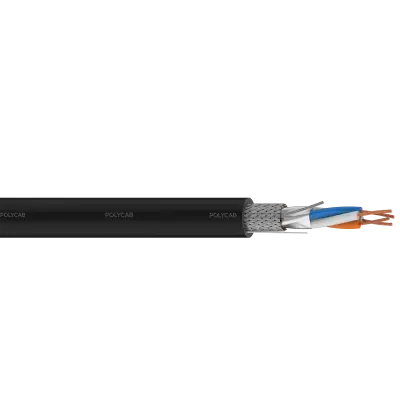 Polycab RS 485 300/500V AC Unarmoured Cable