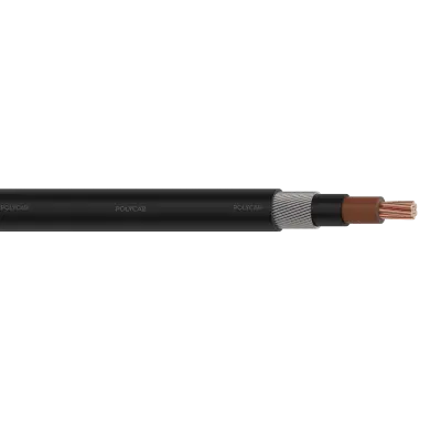 Polycab BS 5467 SC 0.6/1kV AC