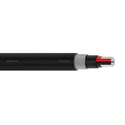 Polycab LV AL IEC 60502-1 0.6/1kV MC-2 SWA