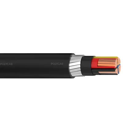 Polycab LV IS-7098-I 3.5C 2XFY