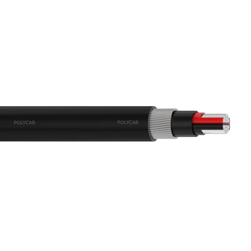 Polycab LV AL IEC 60502-1 0.6/1kV MC-2 SWA Multi core stranded AL conductor,XLPE/EPR/HEPR insulation, Laid up, Inner covering, Armoured, PVC/Polyethylene/Halogen free Outer sheathed LV Cable sheathed LV Cable - Polycab LV AL IEC 60502-1 0.6/1kV MC-2 SWA - 55257