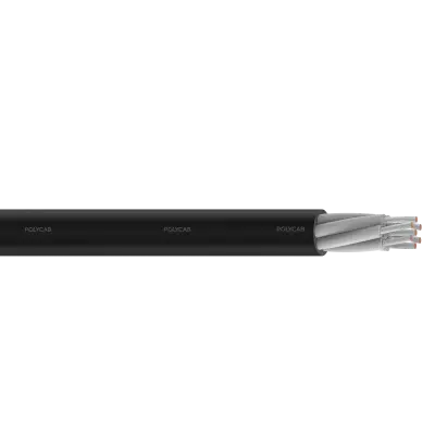 Polycab RR-C MC 1100V AC IS 9968-1