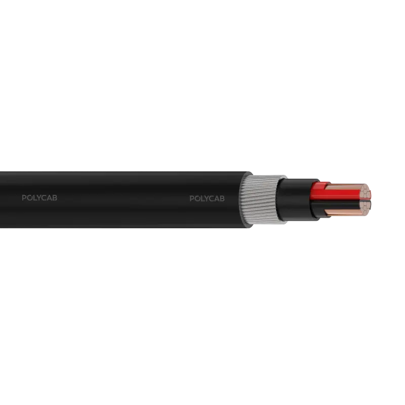 Polycab LV Cu IEC 60502-1 0.6/1kV MC-2 SWA Multi core stranded copper conductor, XLPE/EPR/HEPR insulation, Laid up, Inner covering, Armoured, PVC/Polyethylene/Halogen free Outer sheathed LV Cable - Polycab LV Cu IEC 60502-1 0.6/1kV MC-2 SWA - 55263