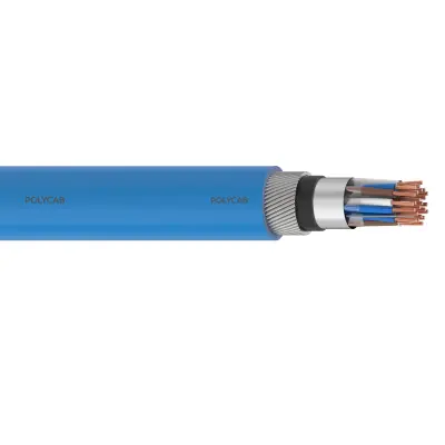 Polycab Instrumentation 300 T(ST)