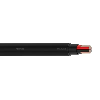 Polycab LV IS-7098-I 2C-2XY