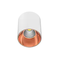 Bold in form, refined in function - Gliss COB Surface Spot Light RD (WHITE HSG & RG REFLTR) - 64532