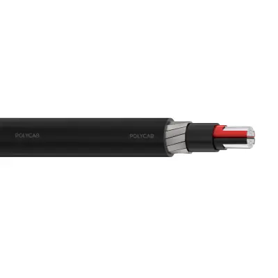 Polycab LV IS-7098-I 2C A2XFY