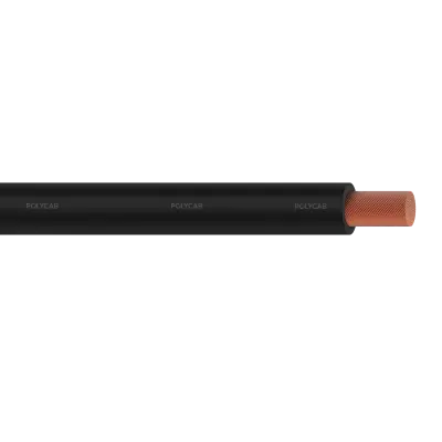 Polycab H01N2-D BSEN 50525-2-81 100/100V AC