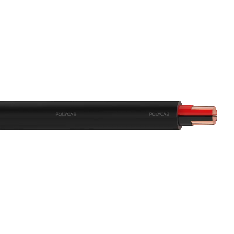 Polycab LV Cu IEC 60502-1 0.6/1kV MC-2 UA Multi core stranded copper conductor, XLPE/EPR/HEPR insulation, Laid up, Inner covering, Armoured, PVC/Polyethylene/Halogen free Outer sheathed LV Cable - Polycab LV Cu IEC 60502-1 0.6/1kV MC-2 UA - 55265
