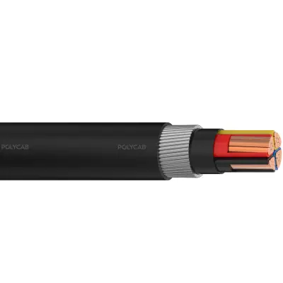Polycab LV IS-7098-I 3.5C 2XWY