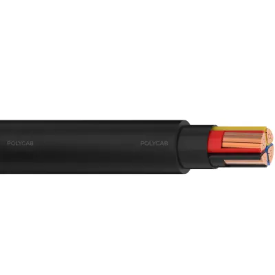 Polycab LV IS-7098-I 3C-2XY
