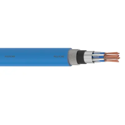 Polycab Instrumentation 500 P(ST)